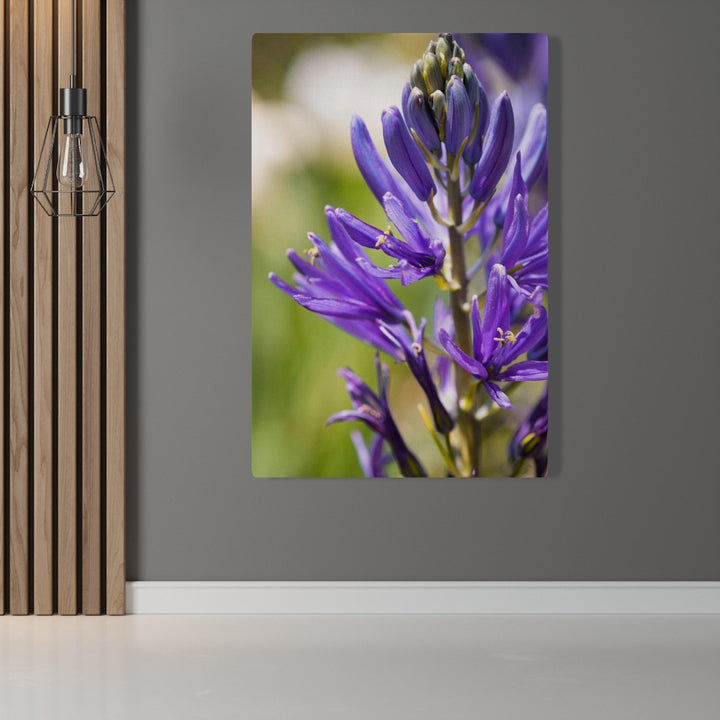 Camas in Bloom - Canvas