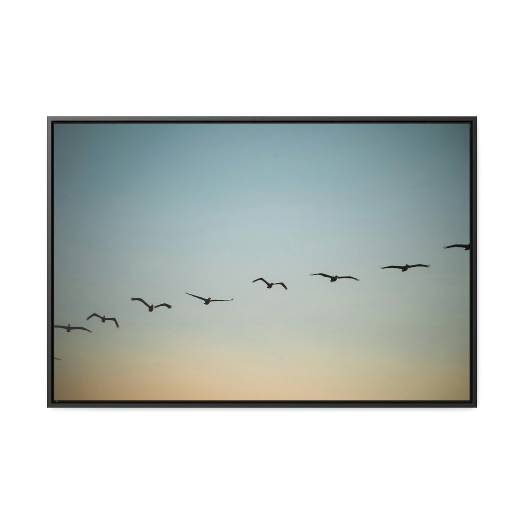 Brown Pelicans in Flight - Canvas with Frame