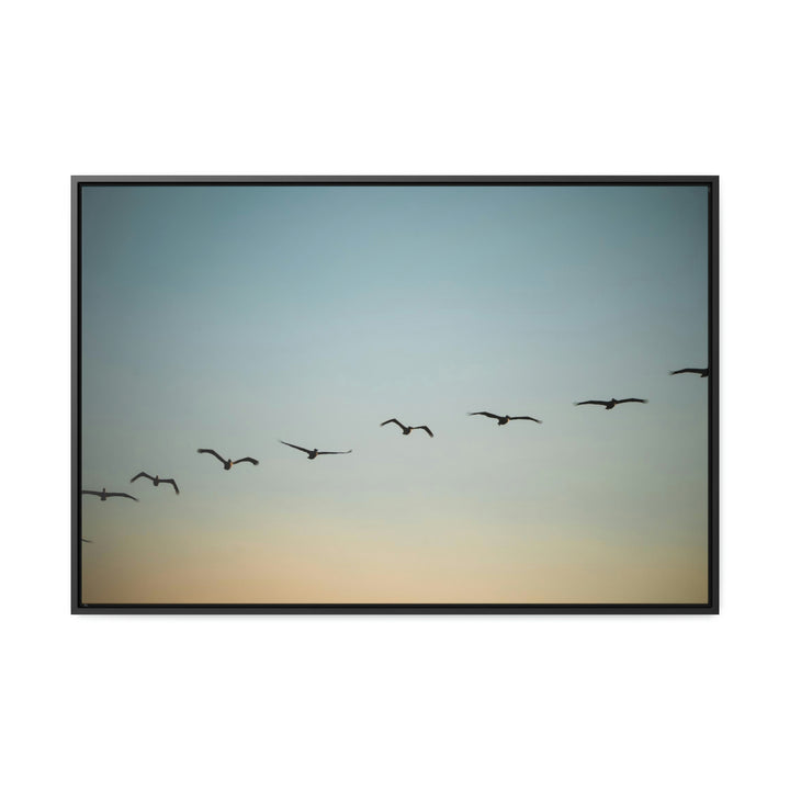 Brown Pelicans in Flight - Canvas with Frame