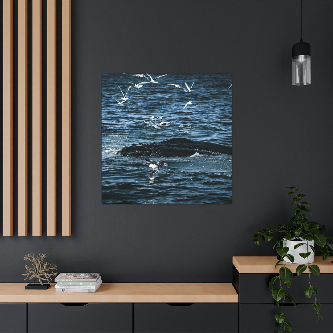 Humpback Hello - Canvas