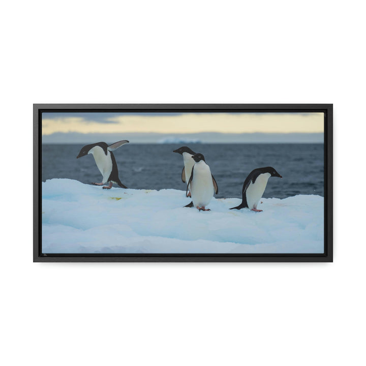 Penguin Dance - Canvas with Frame