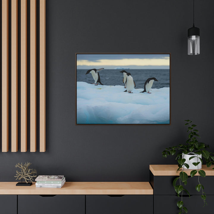 Penguin Dance - Canvas with Frame