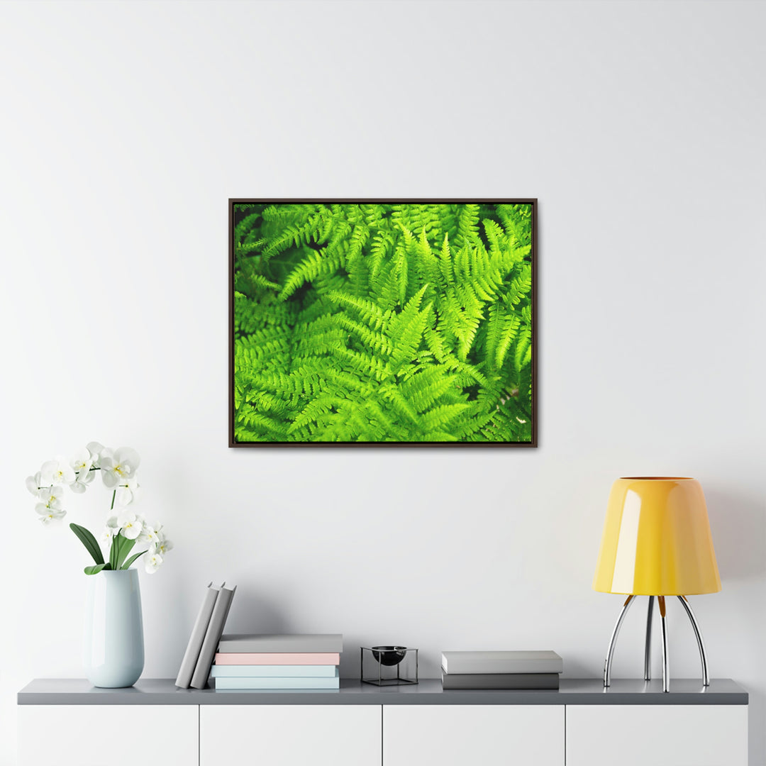 Ferns, Ferns, Ferns - Canvas with Frame