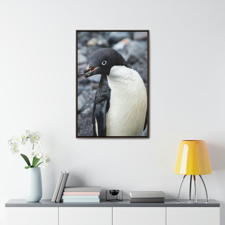 A Penguin's Pebble - Canvas with Frame