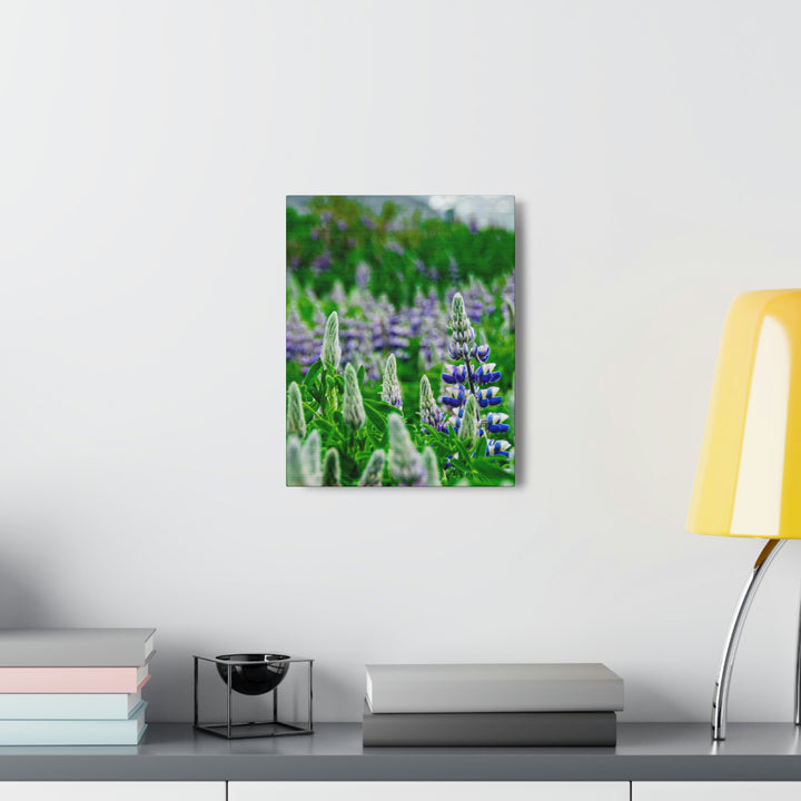 Glowing Lupin with Mountains - Canvas