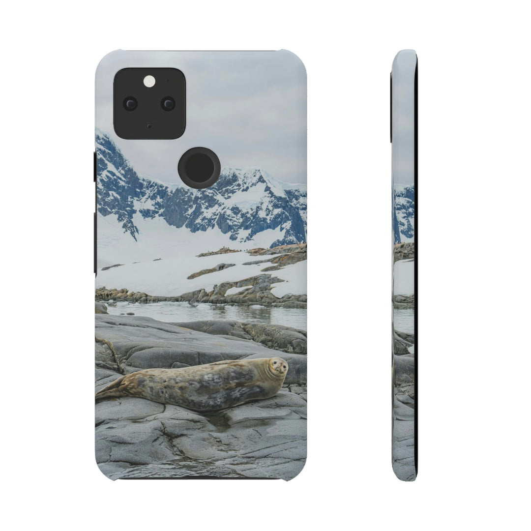 Weddell Relaxing - Phone Case