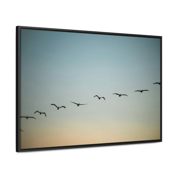 Brown Pelicans in Flight - Canvas with Frame