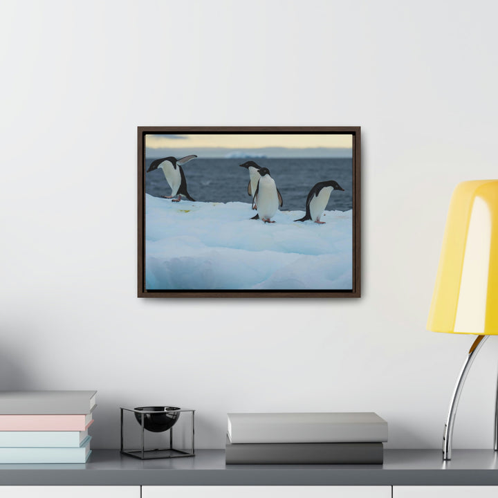 Penguin Dance - Canvas with Frame