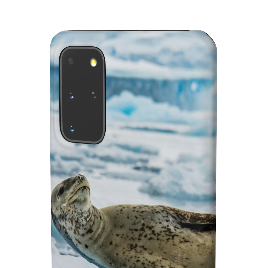 Leopard Seal Relaxing - Phone Case