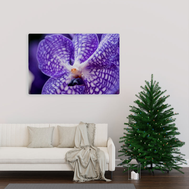 Orchid Detail - Canvas