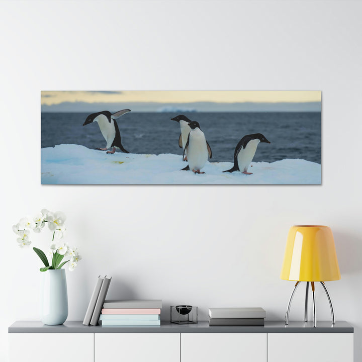 Penguin Dance - Canvas