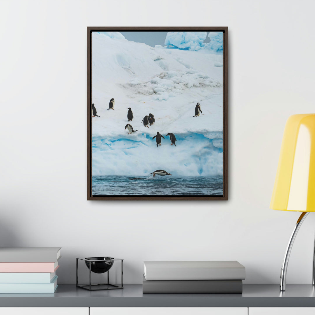 Porpoising Penguin - Canvas with Frame