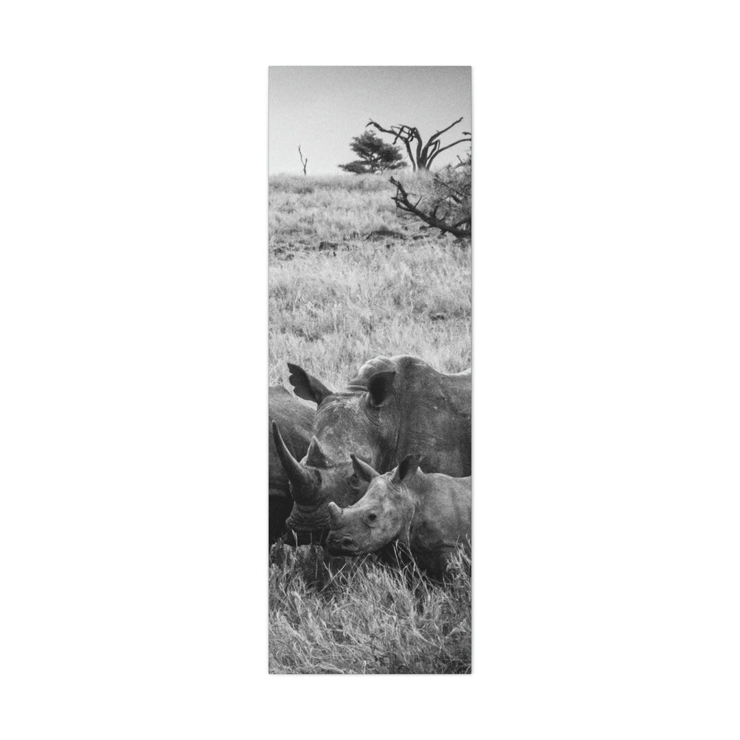 Rhino Family in Black and White - Canvas