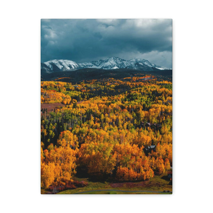 Golds of Autumn - Canvas