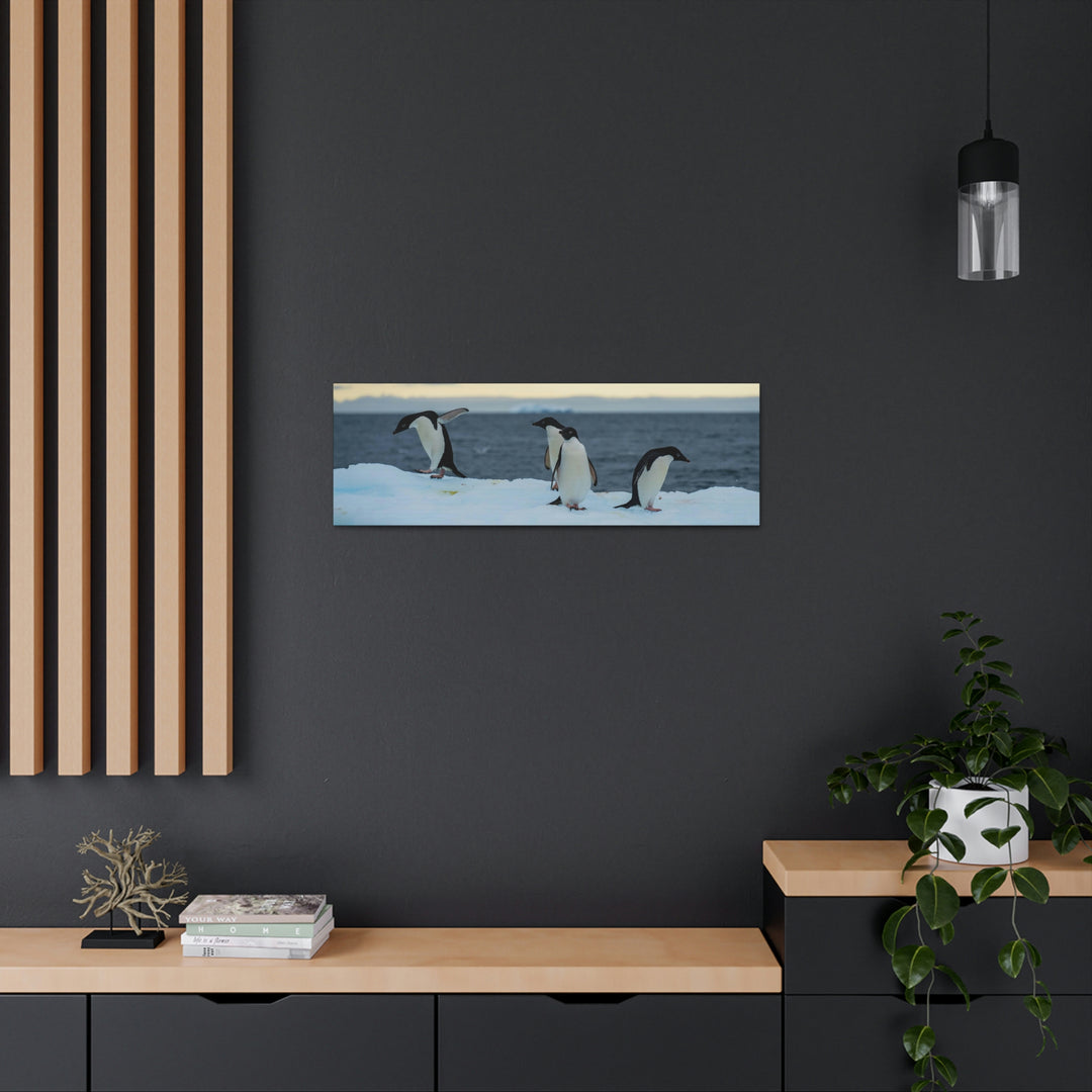 Penguin Dance - Canvas