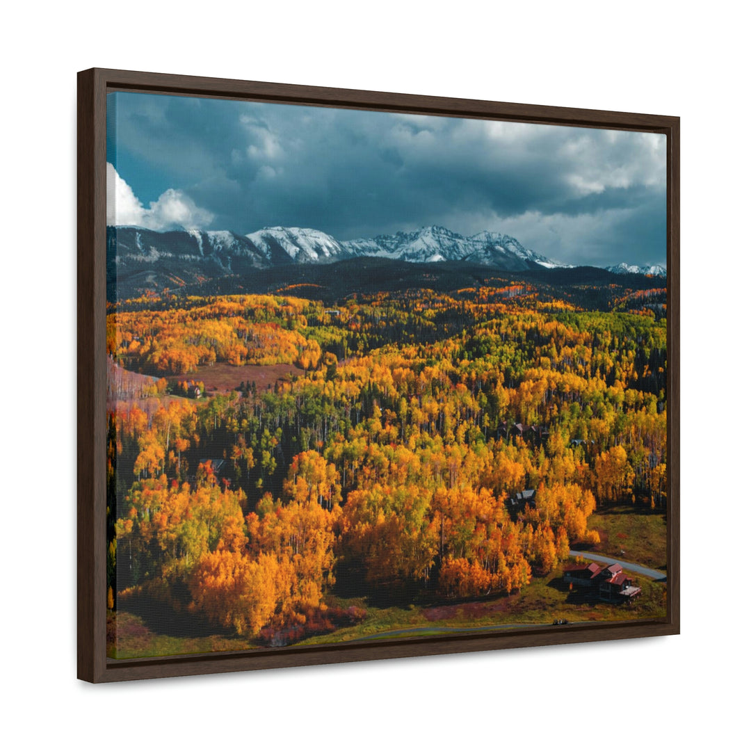 Golds of Autumn - Canvas with Frame