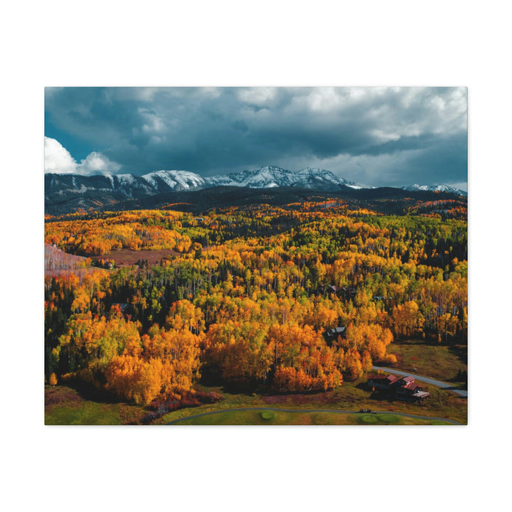 Golds of Autumn - Canvas