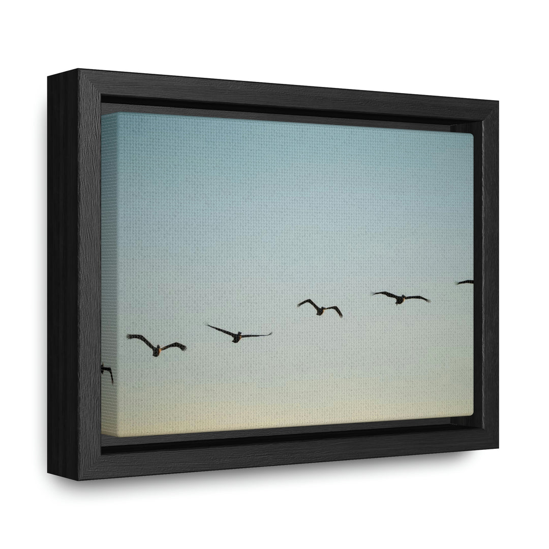 Brown Pelicans in Flight - Canvas with Frame