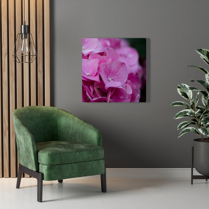 Pink Hydrangea Detail - Canvas