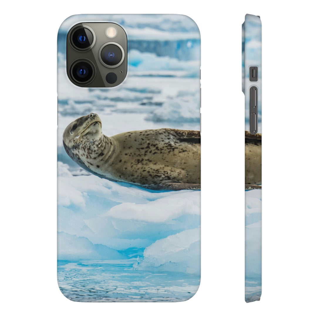 Leopard Seal Relaxing - Phone Case