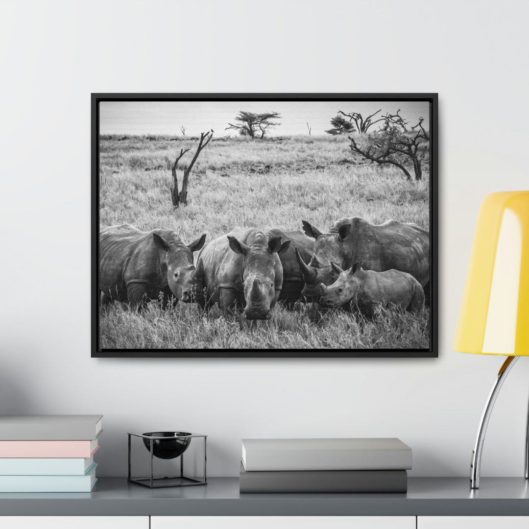 Rhino Family in Black and White - Canvas with Frame