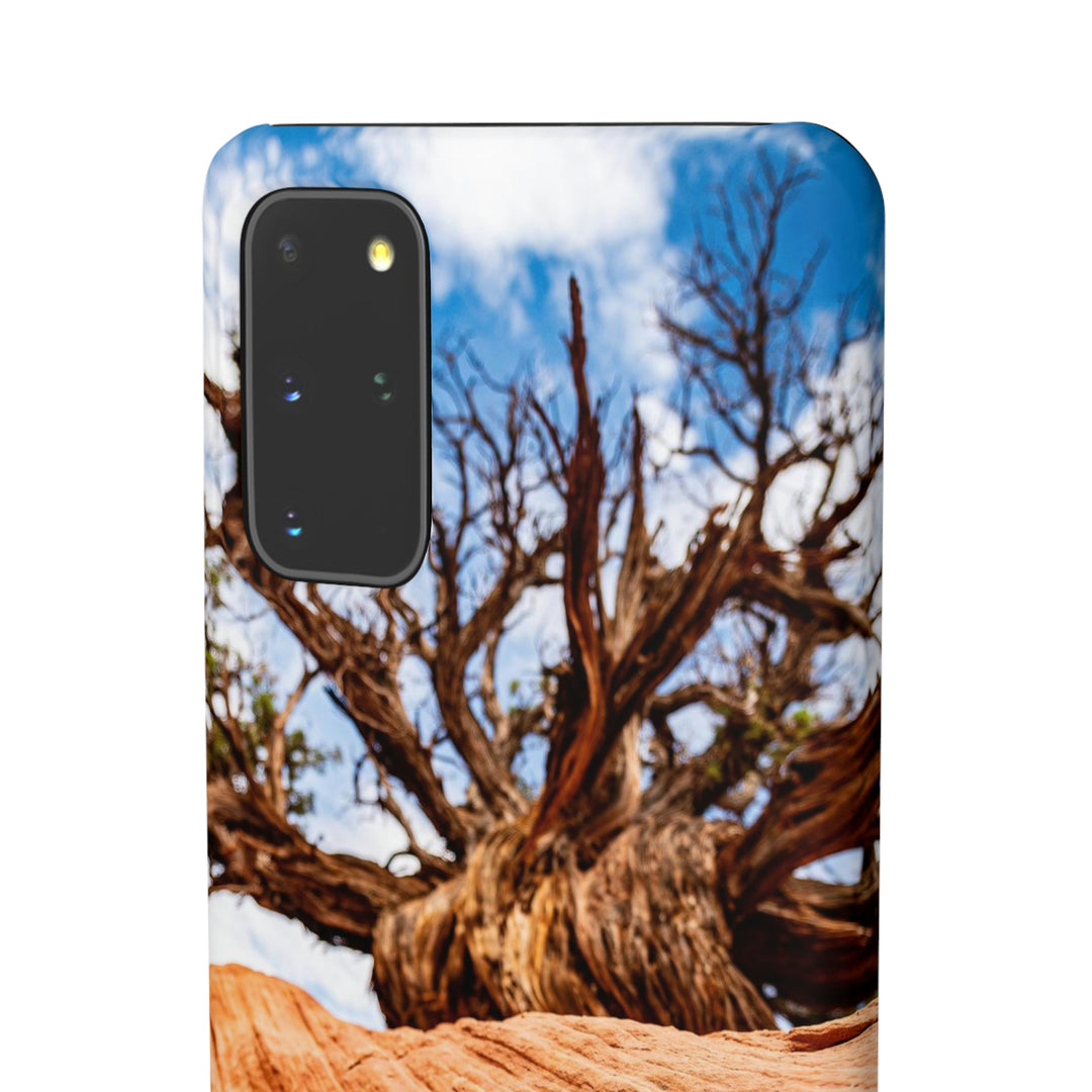 Desert Reach - Phone Case