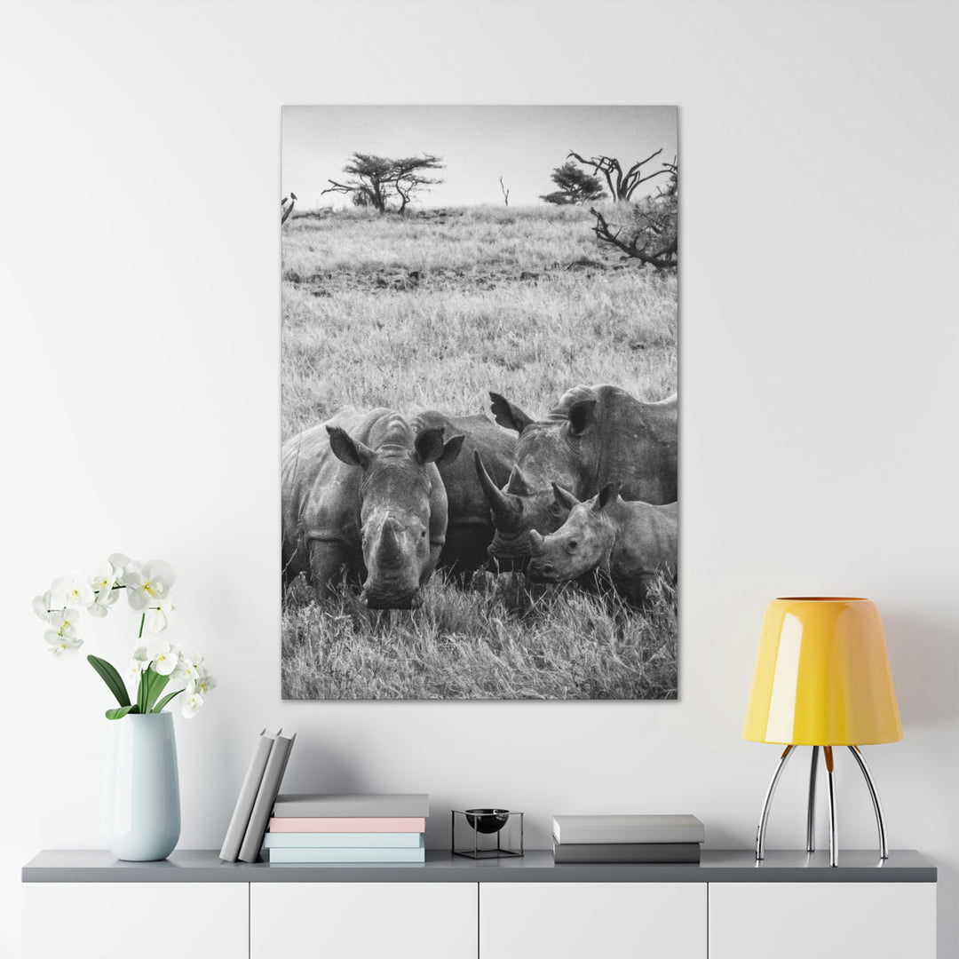 Rhino Family in Black and White - Canvas