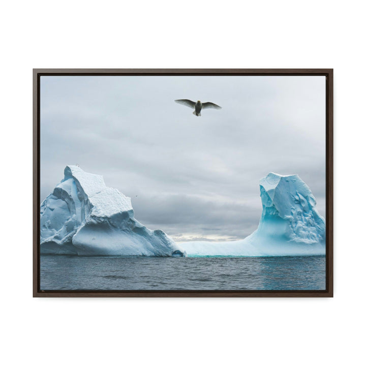 Antarctic Flight - Canvas with Frame