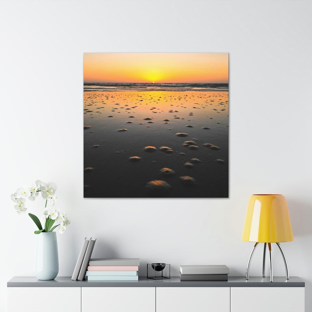 Burrows at Sunrise - Canvas