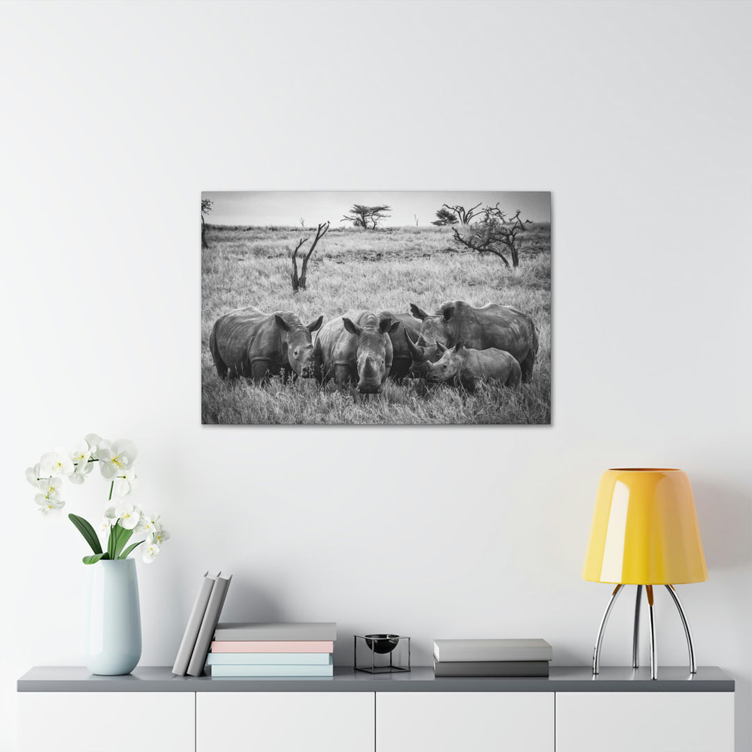 Rhino Family in Black and White - Canvas