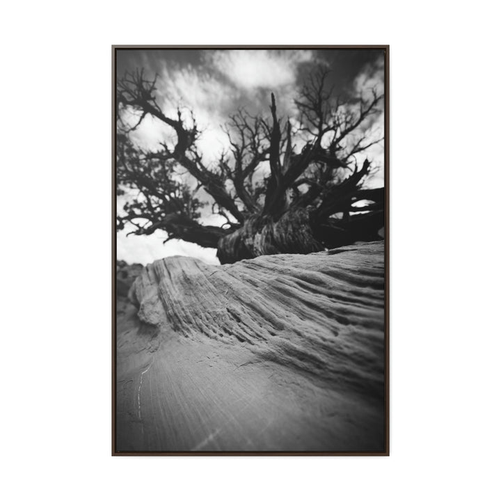 Desert Reach in Black and White - Canvas with Frame