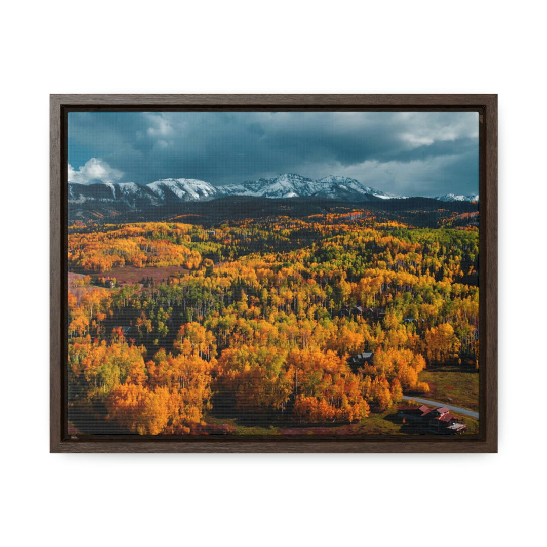 Golds of Autumn - Canvas with Frame