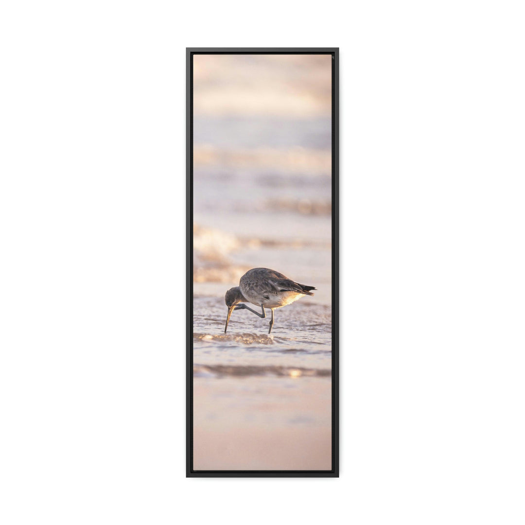 Willet Itch - Canvas with Frame