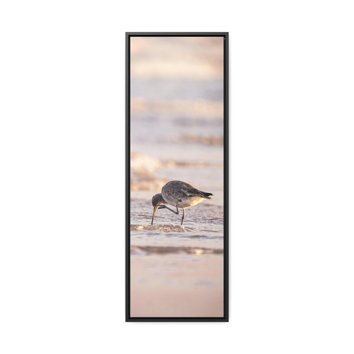 Willet Itch - Canvas with Frame