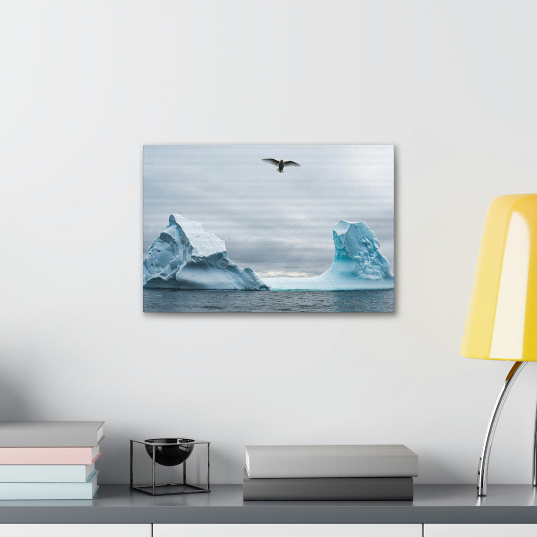 Antarctic Flight - Canvas