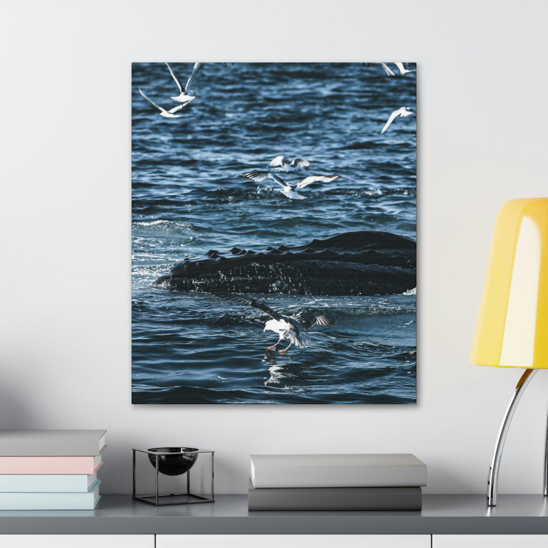 Humpback Hello - Canvas