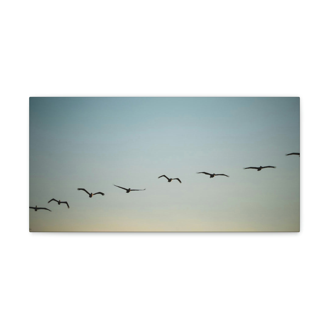 Brown Pelicans in Flight - Canvas