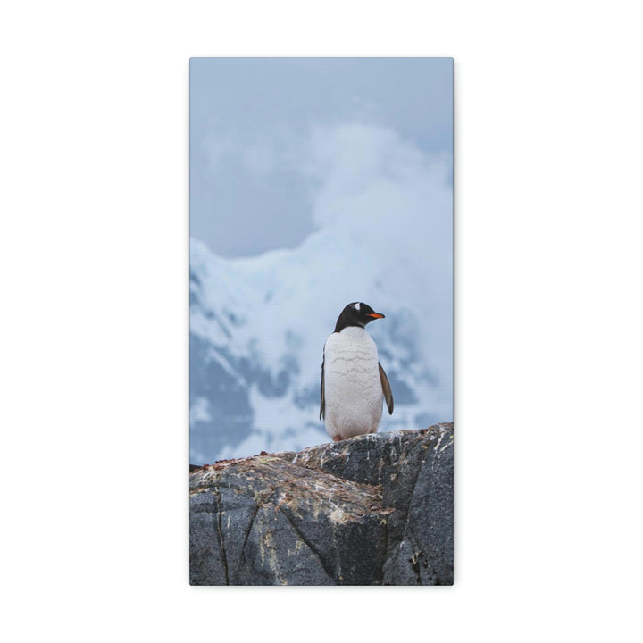 Poised Penguin - Canvas