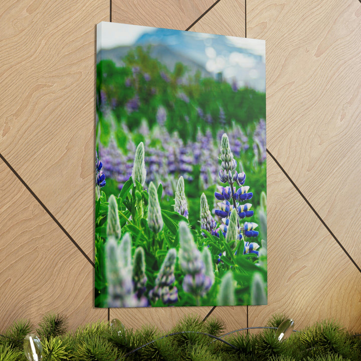 Glowing Lupin with Mountains - Canvas