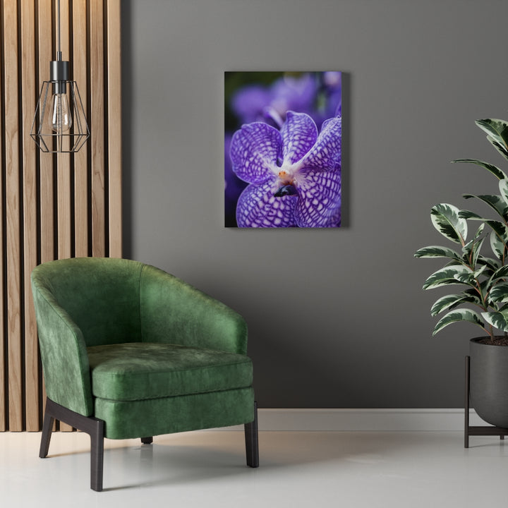 Orchid Detail - Canvas