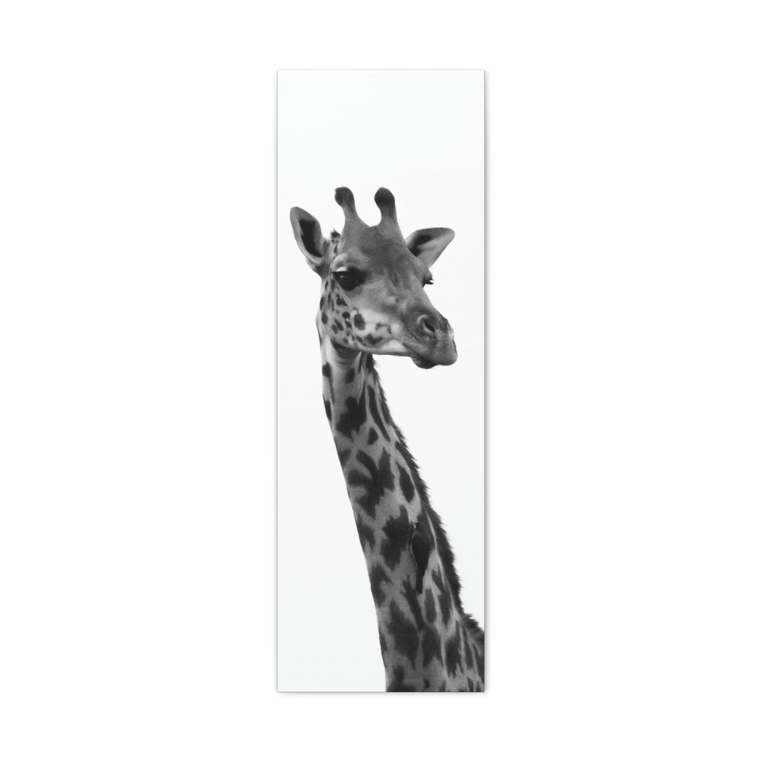 Giraffe Portrait in Black and White  - Canvas