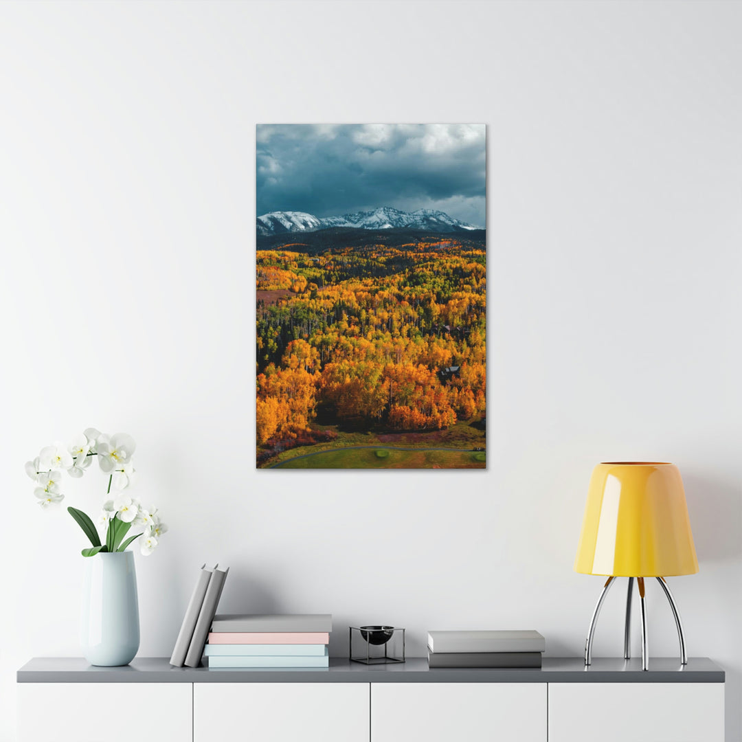 Golds of Autumn - Canvas