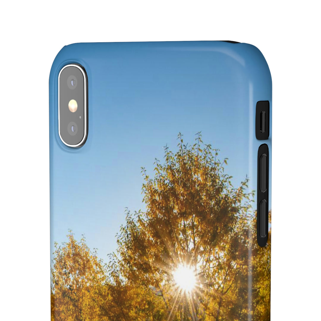 Sun Through the Aspens - Phone Case