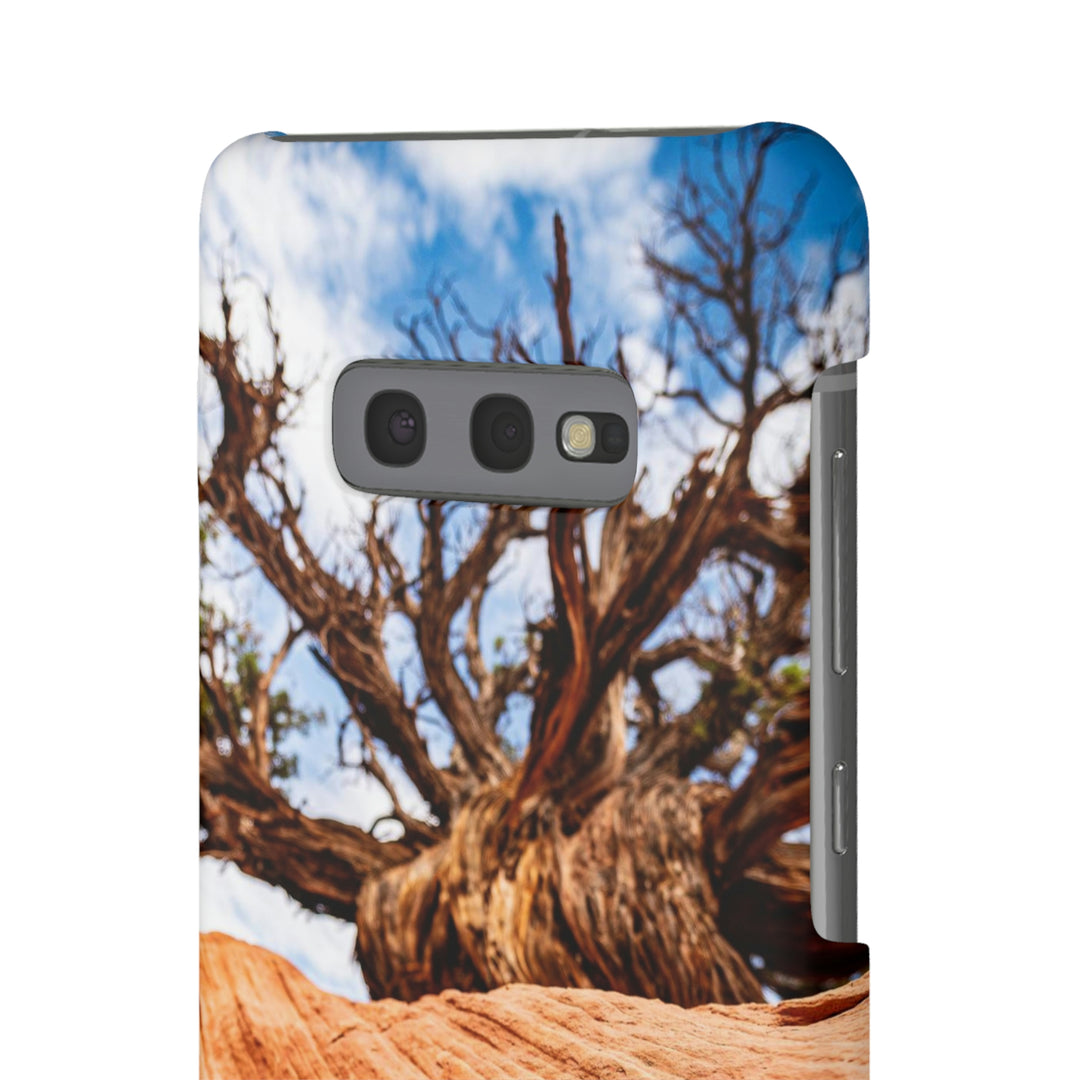 Desert Reach - Phone Case