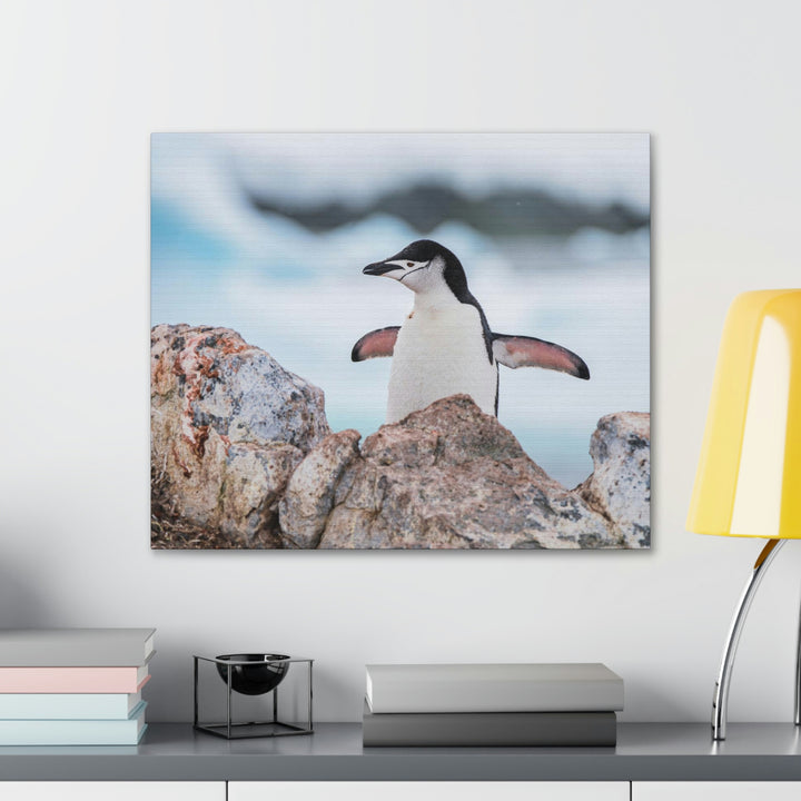 Stretched Penguin - Canvas