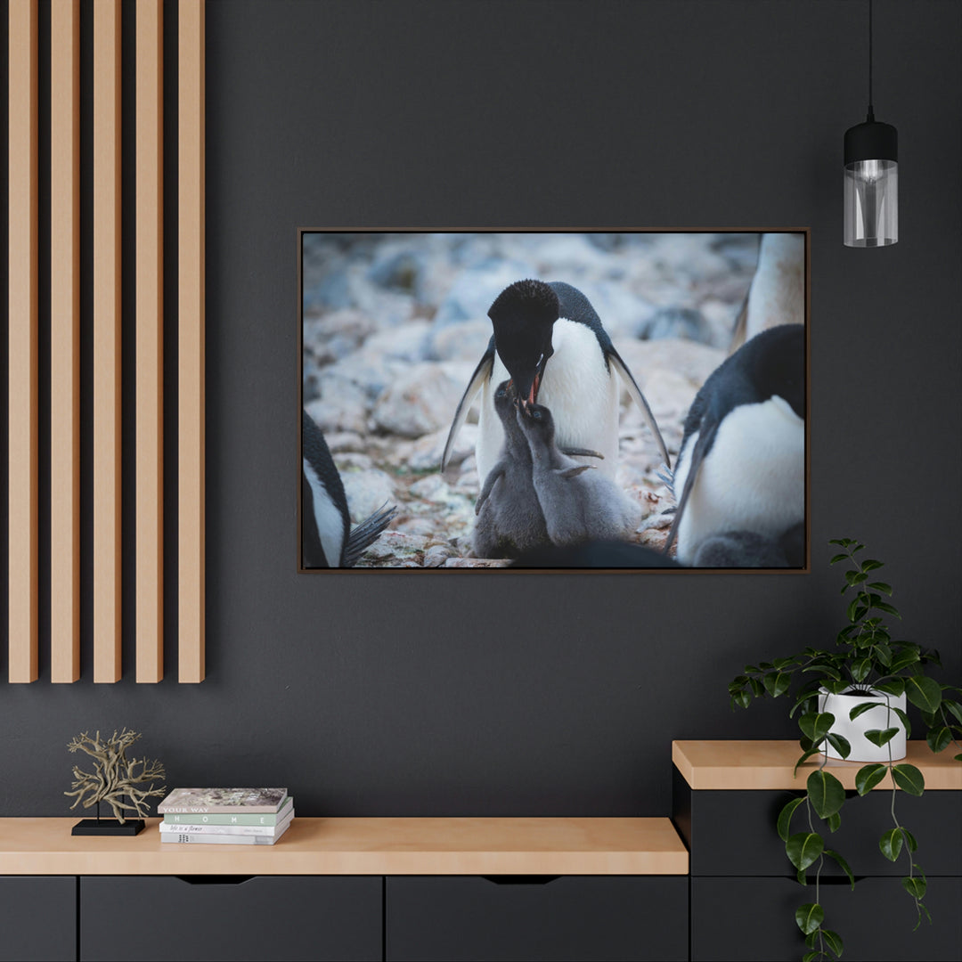 Feeding Time - Canvas with Frame