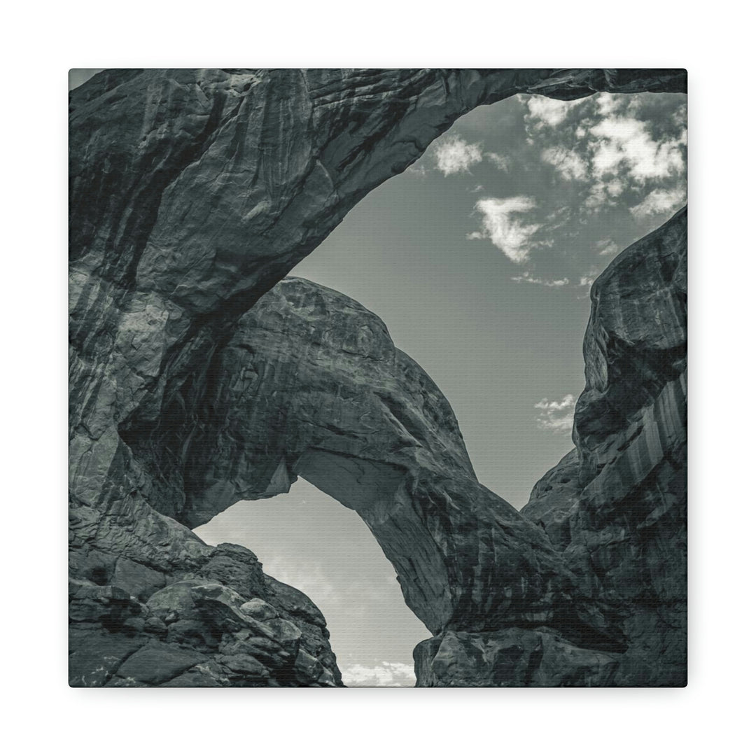 Natural Frames Part 4 in Black and White - Canvas