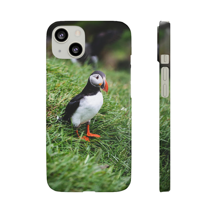 Curious Eye - Phone Case