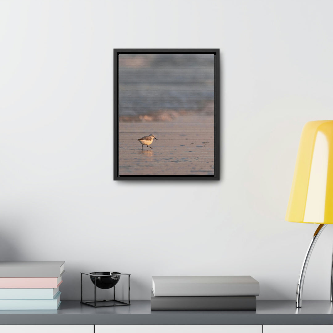 Sanderling in Soft Dusk Light - Canvas with Frame