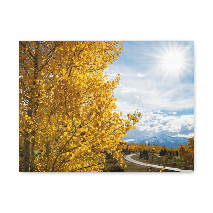 Golden Sunshine - Canvas